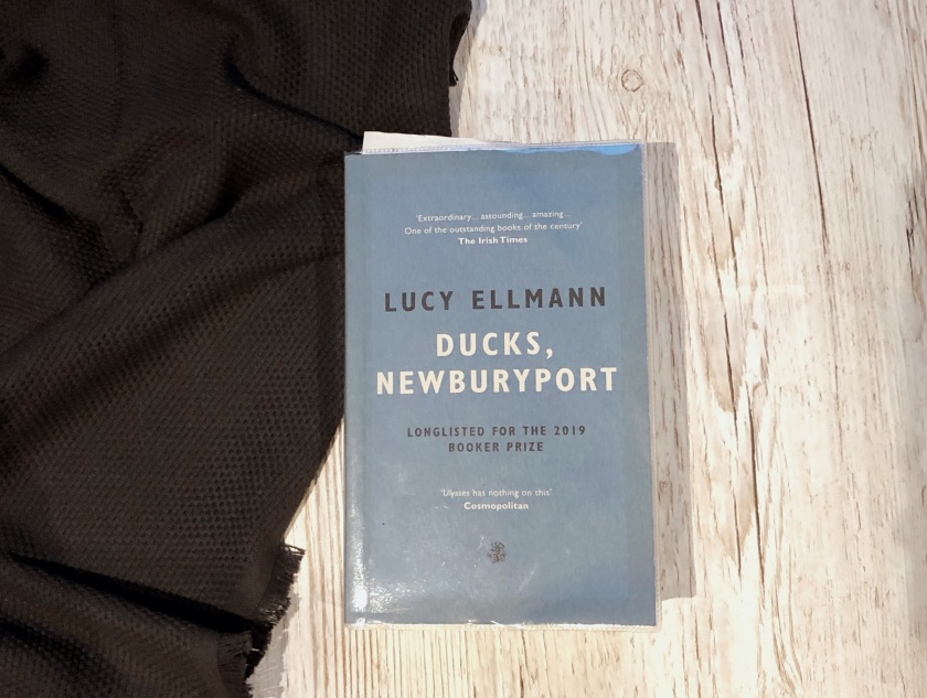Lucy Ellman, Ducks Newburyport book review